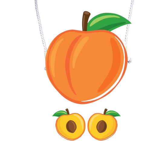 Peach Hair Clips & Purse Set