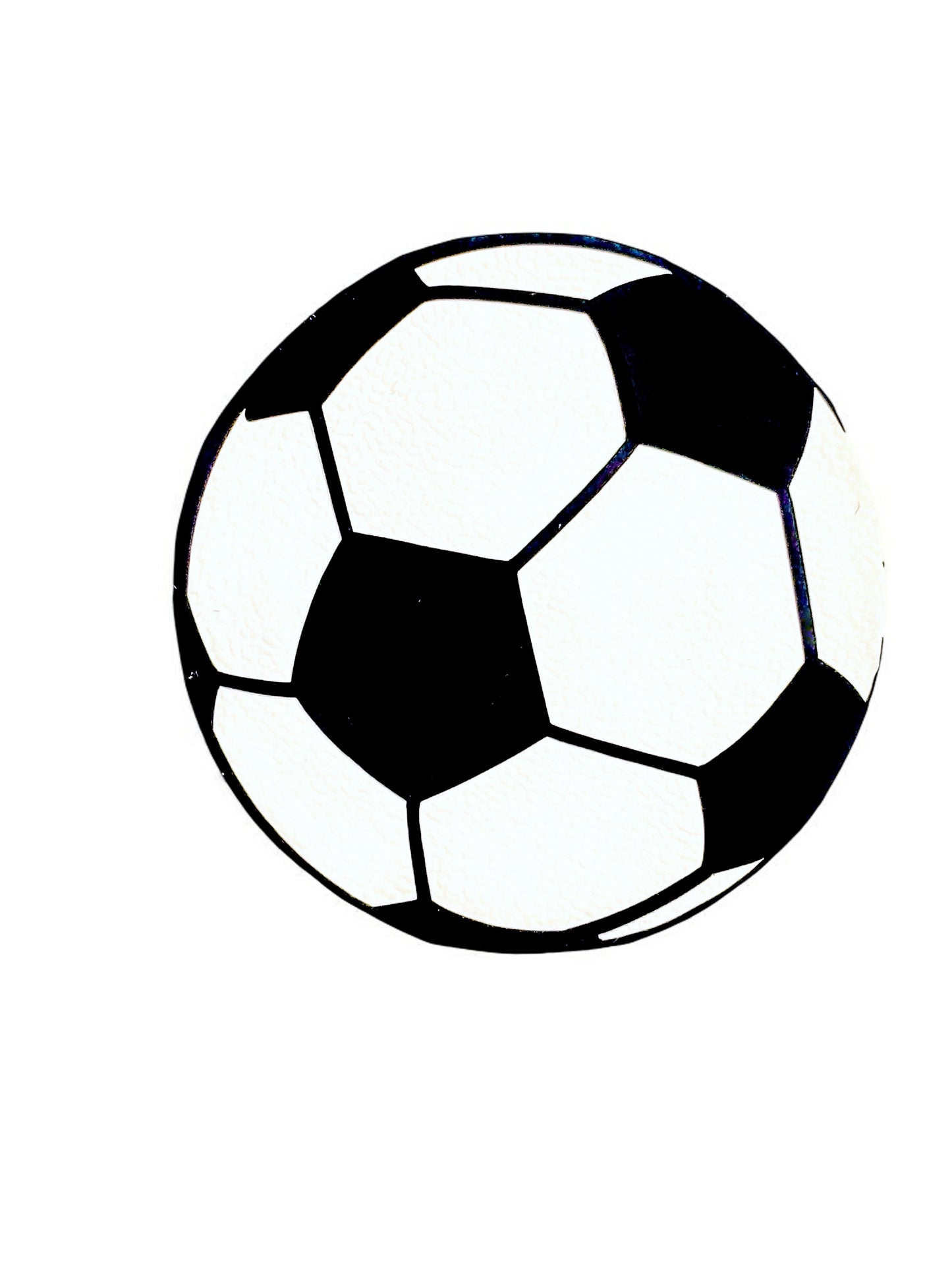 Sports Hair Clips